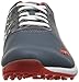 PUMA Men's Biofusion Spikeless Golf Shoe