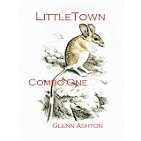 LittleTown: Combo One