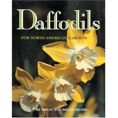 Daffodils for North American Gardens
