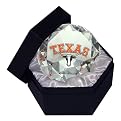 University of Texas Longhorns Paperweight