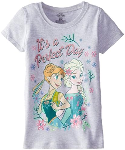 Disney Little Girls' Frozen Fever Anna and Elsa Girls 4-6X Short Sleeve Graphic Tee, Heather Grey, 5/6