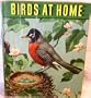 Birds At Home