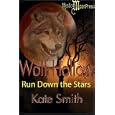 Wolf Hollow - Episode 16: Run Down the Stars