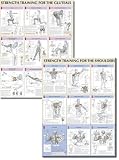 Strength Training Anatomy Poster Series