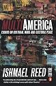 Multi-America: Essays on Cultural Wars and Cultural Peace