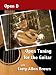 Open Tuning for the Guitar with Larry Allen Brown - Open D