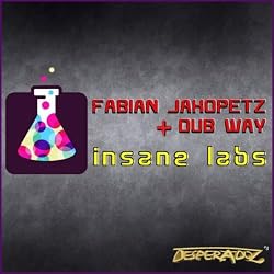 Insane Labs