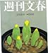 週刊文春 2012年2月2日号 週刊文春 2012年2月2日号