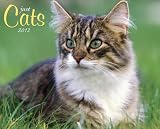 Just Cats 2012 Calendar (Just (Willow Creek))