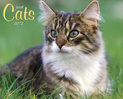 Just Cats 2012 Calendar (Willow Creek))