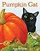 Pumpkin Cat