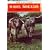 Rare Breeds (Shire Albums)