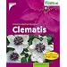 Clematis - K�nigin der Kletterpflanzen - eine wertende Liste