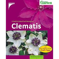 Clematis