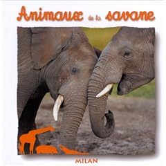 Animaux de la savane