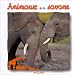 Animaux de la savane