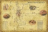51NM2YX1t9L. SL160  Bible Genealogy Chart (Bible family tree from Adam & Eve to Jesus   includes Chronological Data, Version 2)