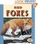 Red Foxes (Pull Ahead Books)