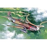 1/48 P-400 �G�A���R�u��