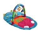 Infantino Happy Hippo Gym