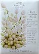 Grass Bunny Tails Seeds