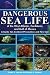 Dangerous Sea Life of the West Atlantic, Caribbean, and Gulf of Mexico: A Guide for Accident Prevention and First Aid by Edwin S Iversen, Renate H Skinner