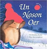 Un noson oer