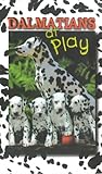 Picture Of Dalmatians At Play