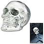CHROME SKULL SHIFT KNOB, SS-6308