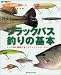 検索 : ブラックバス釣りの基本―レンジ別に解説するバスフィッシング・テクニック (Rod and Reel選書―HOLIDAY fishing)