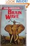 Brain Wave
