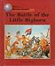 Book The Battle of Little Bighorn (World History)