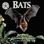 Bats 2001 Calendar