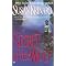 A romance book to curl up with.