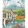 Big C++
