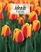 Easter Ideals 2006 (Ideals Easter)