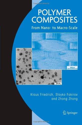 Polymer Composites: From Nano- to Macro-Scale