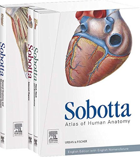 Sobotta Atlas of Human Anatomy, Package, 15th ed., English: Musculoskeletal system, internal organs, head, neck, neuroanatomy, 15e