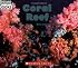 Coral Reef (Welcome Books)