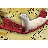 Marshall Bandit Bridge for Ferrets