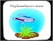 Mouse Pad with fish, aquarium