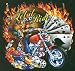 Biker Gambilng Deluxe Polar Fleece Throw Stadium Blanket - 50 x 60 - Let It Ride