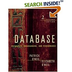 Database: Principles, Programming, and Performance, Second Edition (The Morgan Kaufmann Series in Data Management Systems)