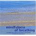 Mindfulness of Breathing: Managing Pain, Illness, and Stress with Guided Mindfulness Meditation