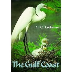 Gulf Coast: Where Land Meets Sea