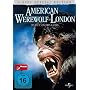 American Werewolf (Special Edition, 2 DVDs)