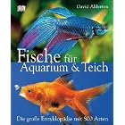 Click here to buy Fische f�r Aquarium and Teich by  David Alderton.