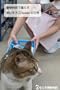�����a�@�ŕ�炷�Ԃ����Lkusao�̓��� (kusao Blog)