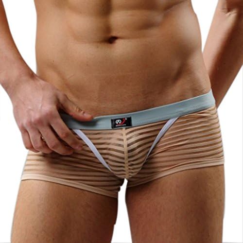 Jiatai Men's elasticity Stripe gauze transparent boxer briefs