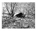 Icy Shack Scenic Photographic Poster Print by Curtis J. Neeley, 10x8